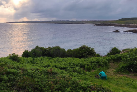 Flora Invasora Santander Destino
