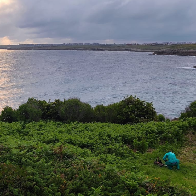 Flora Invasora Santander Destino